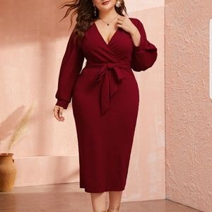 NWT beautiful deep red dress with belt